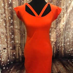 Adorable Bebe Dress with front and back detail